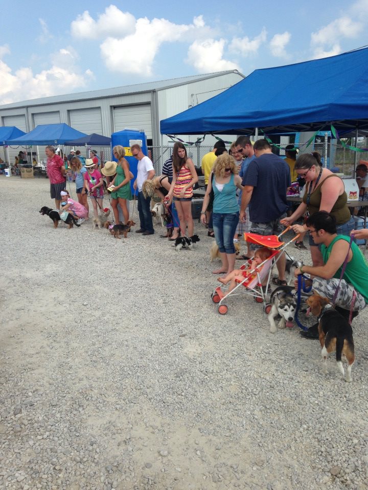 Canine Carnival and Mardi Paws 2013