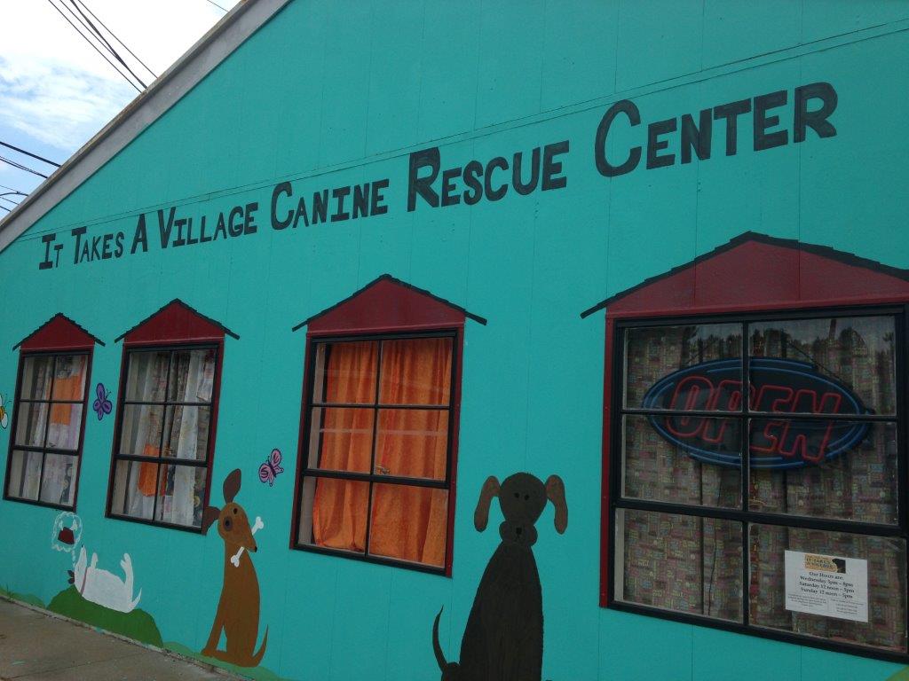 It Takes a Village Rescue Center