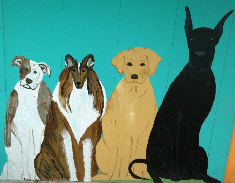 It Takes a Village Rescue Center