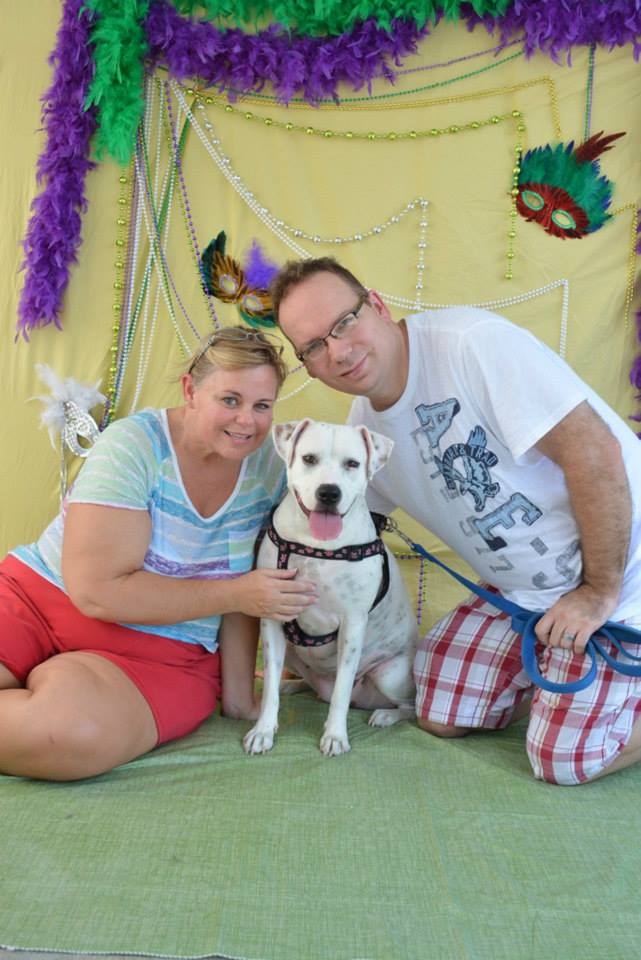 Canine Carnival and Mardi Paws 2013