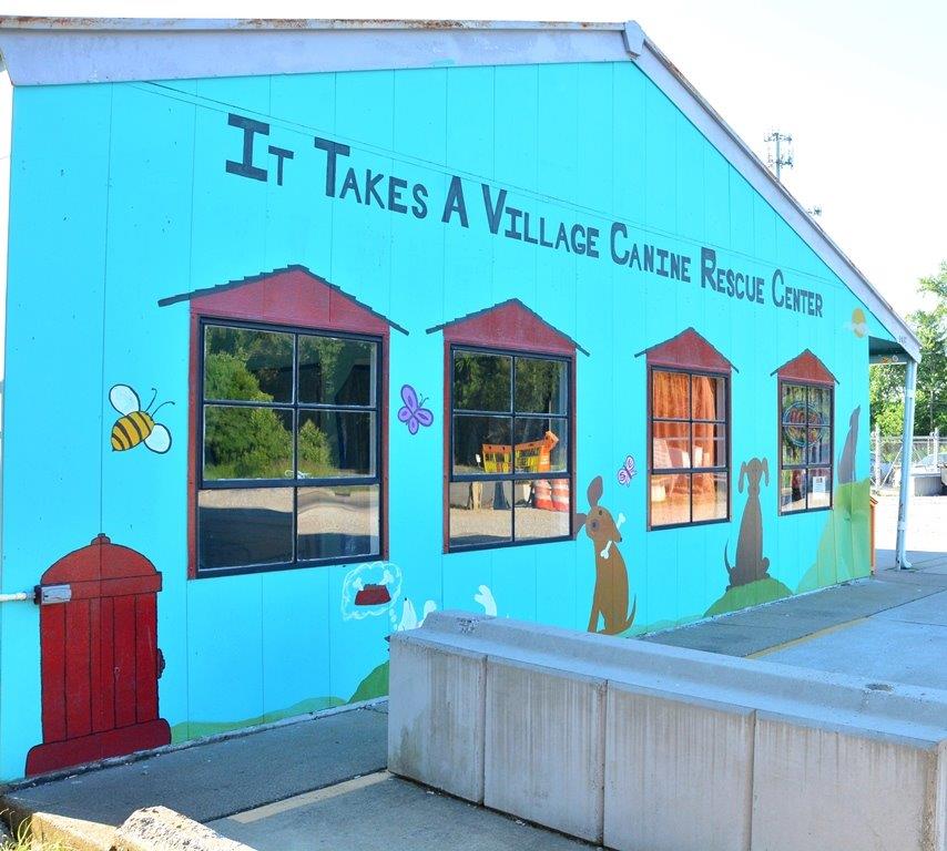 It Takes a Village Rescue Center