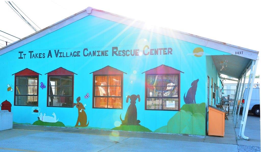 It Takes a Village Rescue Center